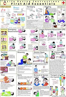 Box A First Aid Chart In Hindi AND English.