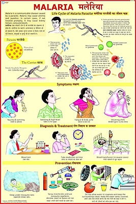 MALARIA SAFETY POSTER