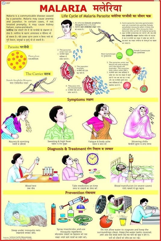MALARIA SAFETY POSTER MALARIA SAFETY POSTER